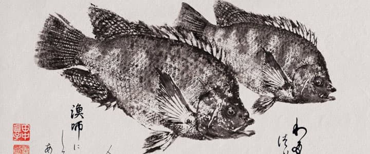 Gyotaku el arte de imprimir peces